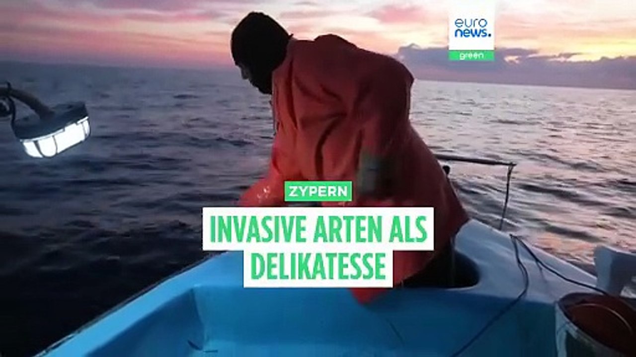 Wie Raubfische in Zypern auf dem Teller der Touristen landen