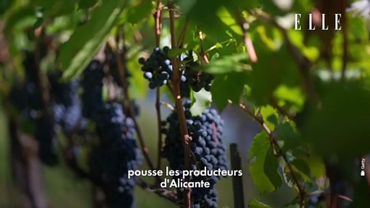 Un an après la trend des douze raisins du Nouvel An, on fait le bilan