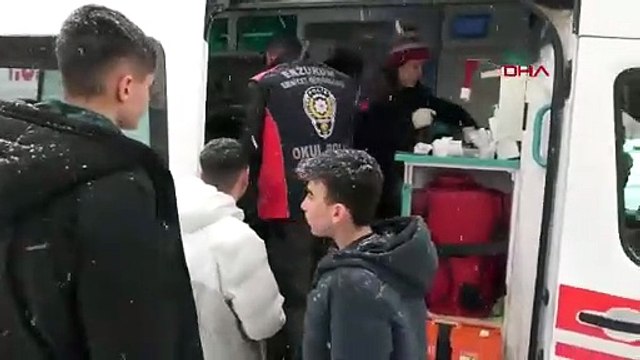 Okul bahçesinde kurt köpeği dehşeti: Yaralılar var!