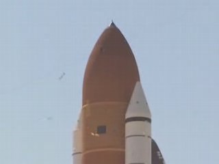 navette spaciale vs oiseau