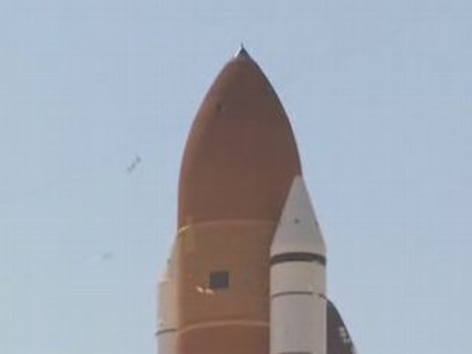 navette spaciale vs oiseau