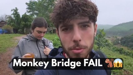 Boy falls into water from monkey bridge but crosses it on his last try