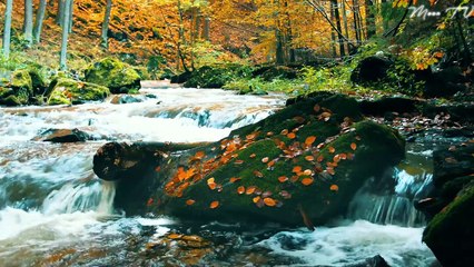 Zen Meditation Music For Deep Relaxation - Peaceful And Soothing Asian Flute