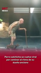 🐶❤️ Un perro salchicha conquistó las redes sociales luego de ser captado caminando tranquilamente junto a su dueño anciano, avanzando a la misma velocidad que él.
