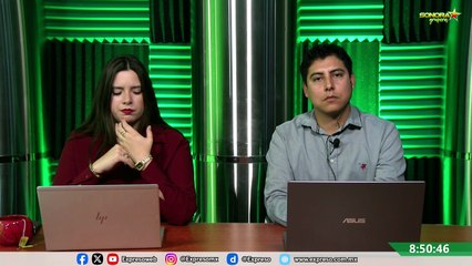 Esterilización de mascotas: edades recomendadas y beneficios clave