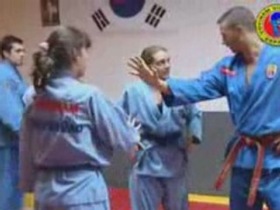 Vovinam Training Session, Master Vittorio Cera, part 2 of 2