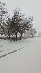 48 yıldan sonra Kilis Yavuzluda kar kalınlığı 20 santimi aştı!