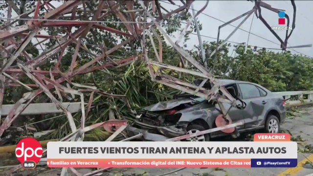 Vientos del frente frío 25 causan daños en Veracruz | DPC con Paola Rojas