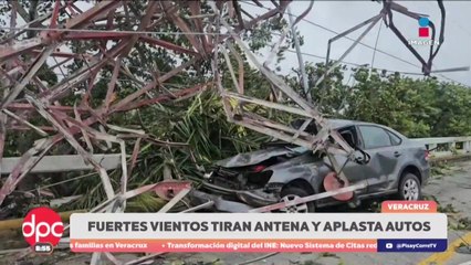Vientos del frente frío 25 causan daños en Veracruz | DPC con Paola Rojas