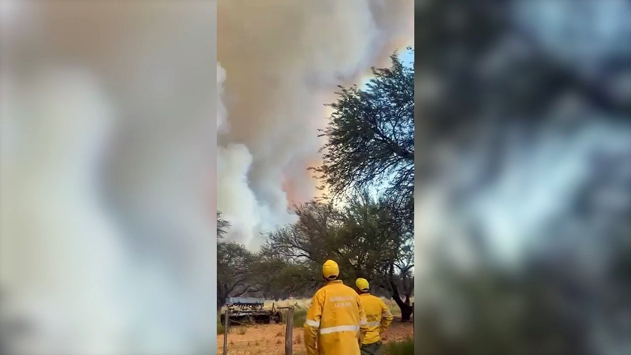 Arde La Pampa: los incendios forestales ya arrasaron con más de 83 mil hectáreas
