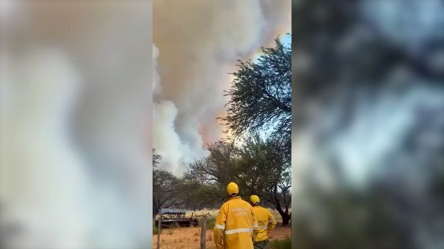 Arde La Pampa: los incendios forestales ya arrasaron con más de 83 mil hectáreas