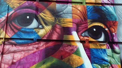 Kobra - Auto Retrato (2022)