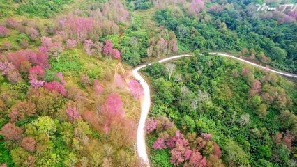 Sleep Music For Deep Relaxation - Soothing Ambient Sounds And Calming Melodies