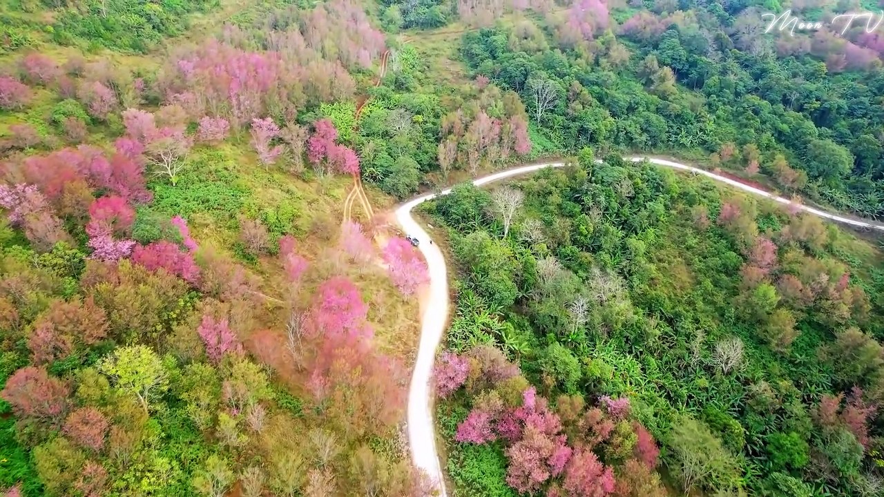 Sleep Music For Deep Relaxation - Soothing Ambient Sounds And Calming Melodies