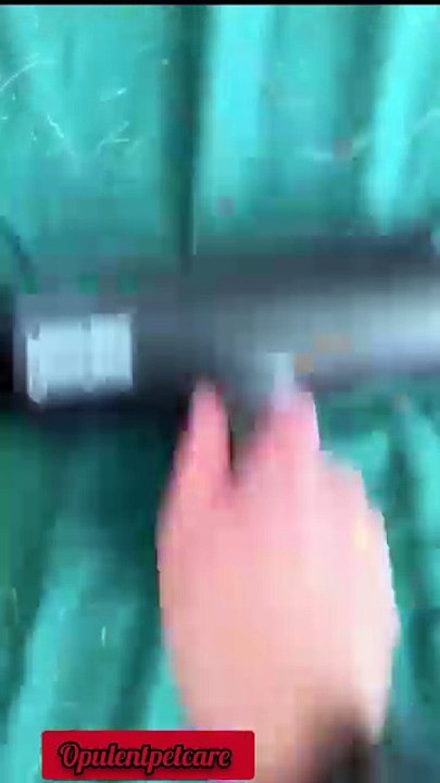 Pet Hair Removal Roller