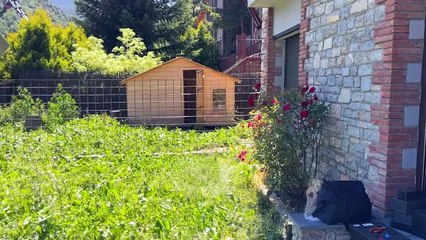 Una Hora Minando Criptomonedas Con Placas Solares