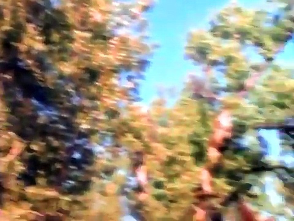Esta es Nuestra Tierra ＊Parte 1＊/Películas del Oeste