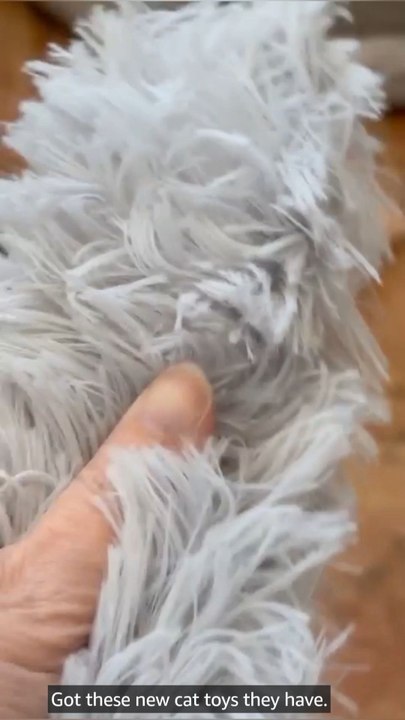 This toy = pure cat obsession 😻Perfect for chewing & kickingCatnip-loaded fun👉 Buy now