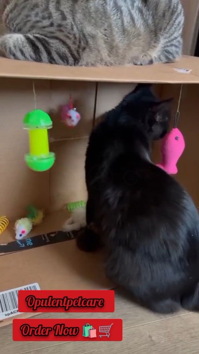 One set. 20 toys.Maximum fun for your cat 🐾👉 Buy now on our website!