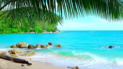 🌴 Tropical Beach Ambience on a Island in Thailand with Ocean Sounds For Relaxation & Holiday Feeling_Clip