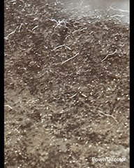 LES DIJE LEBRON JAMES NO NO ANTES QUE REGRESARA MIS LAKERS ESTABAN EN SEGUNDA POSICIÓN DEL OESTE HOY NI HABLAR DEJA A DONCIC Y REAVES A VECES UNA ESTRELLA PERJUDICA MÁS DE LO QUE AYUDA OTRO EJEMPLO PARIS EN EL FÚTBOL FUERA MESSI NEYMAR RAMOS Y GANÓ TODO P