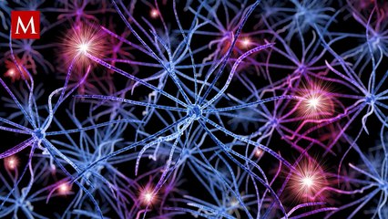 Interfaces cerebro-computadora: el avance que conecta el cerebro con máquinas