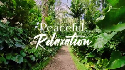 Peaceful Relaxing Music Deep Focus Music, Music For Studying, Concentration And Work