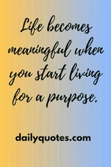 Life is a beautiful journey filled with lessons, struggles, hope, and growth. These life quotes reflect the true meaning of living, teaching us patience, gratitude, strength, and self-belief. Every quote is a reminder that even hard times shape us into st