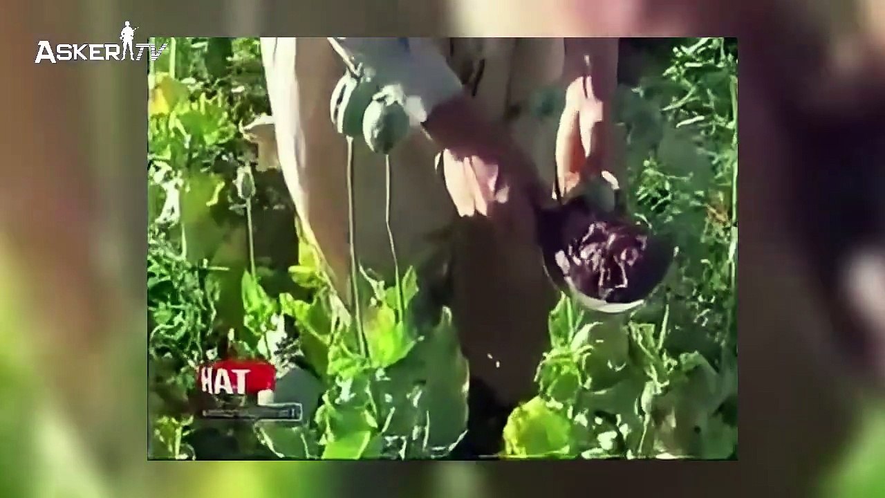 Afganistan: Bitmeyen Savaşın Anatomisi, Taliban Gerçeği ve Türkiye’nin Sessiz Gücü