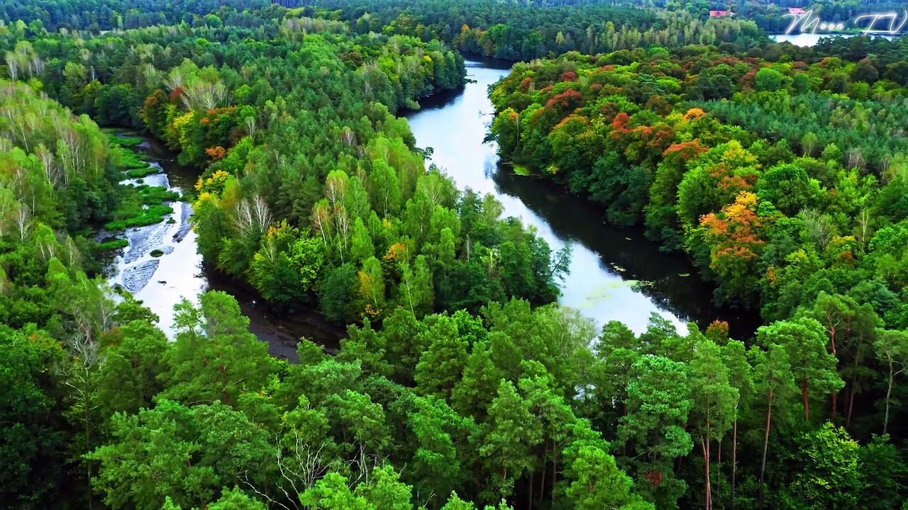 Relaxing Ambient Music For Serenity