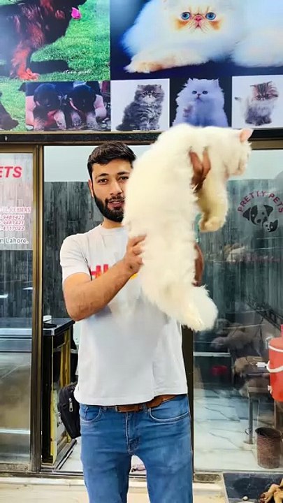 cat lovers❤️❤️❤️