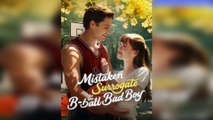 Mistaken Surrogate For The B-ball Bad Boy Full Movie
