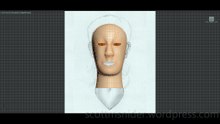 Flame: 3DS MAX Practice Polygon Modeling Head Model Video #77 (01-01-2026)