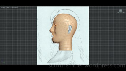 Flame: 3DS MAX Practice Polygon Modeling Head Model Video #79 (01-01-2026)