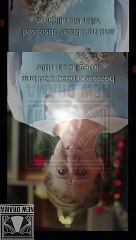 🍏💛✴️🏳️ 12.25 - 01.02 🔥 From Royalty to the CEO's Christmas Princess dailymotion 🌍x9wuc00