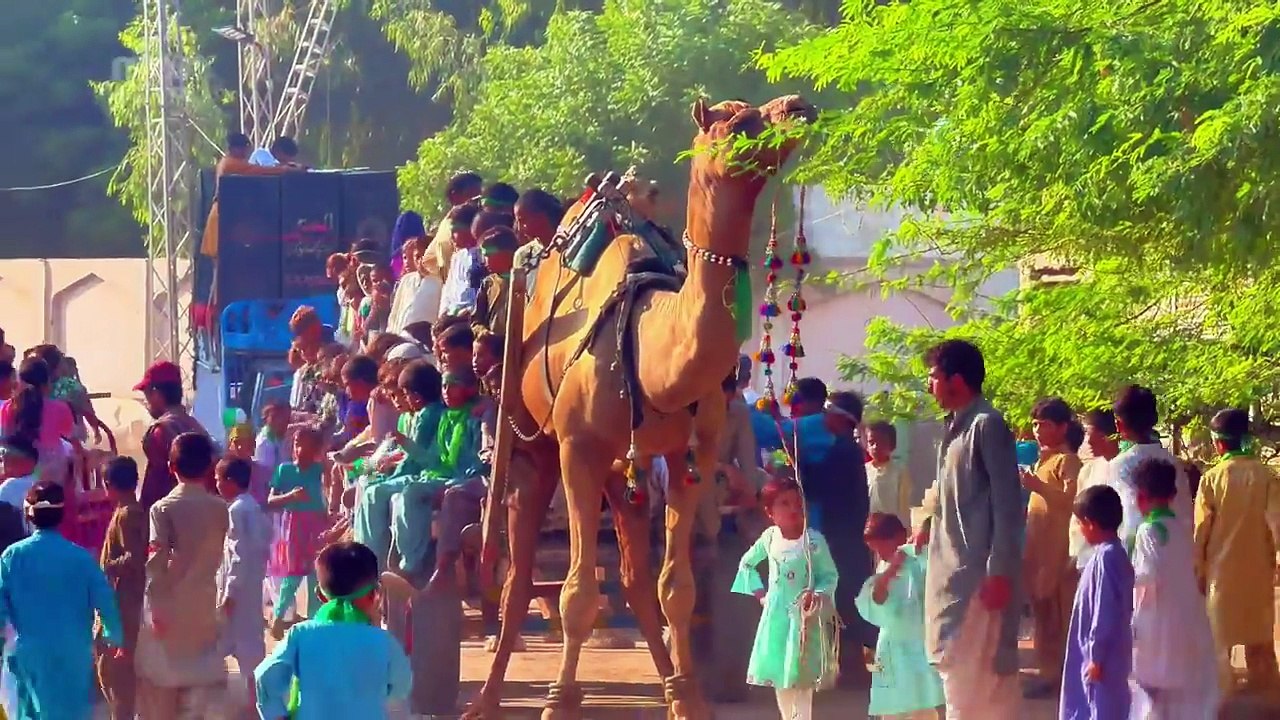 Eid Milad Un Nabi (Rally) ✨ Jashan-e-Milad #eidmiladunnabi #miladunnabi #yarasoolallah