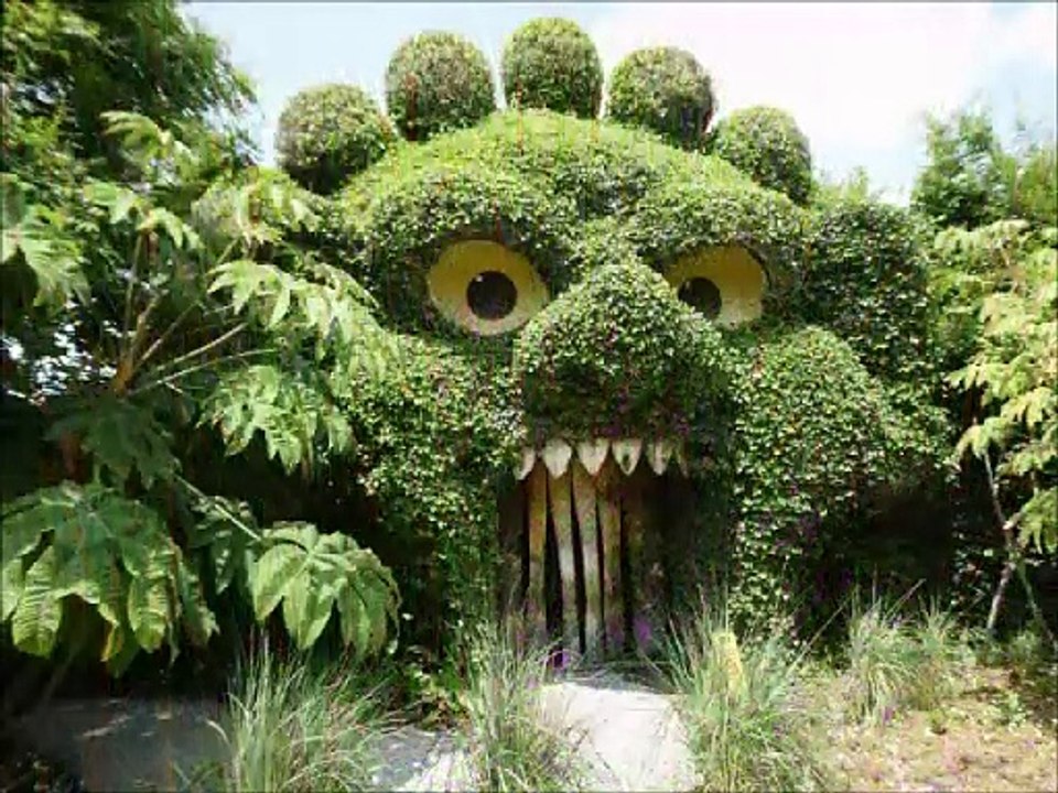 Plantes