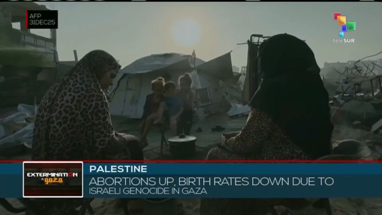 Palestine: Abortions increase and birth rate declines amid humanitarian collapse in Gaza