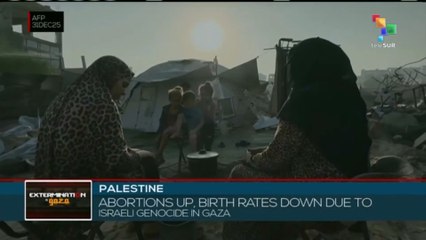 Palestine: Abortions increase and birth rate declines amid humanitarian collapse in Gaza