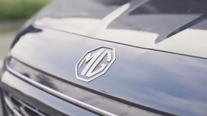 Un puñal directo al corazón de muchos madridistas: las primeras imágenes de Endrick con el O. Lyon