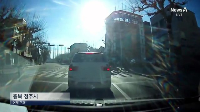 횡단보도 건너던 아이 2명 치고 뺑소니