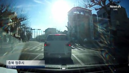 횡단보도 건너던 아이 2명 치고 뺑소니