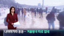 한파에 나이아가라 ‘꽁꽁’…겨울왕국 따로 없네