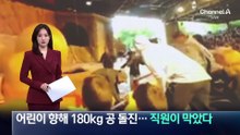 어린이 향해 180kg 공 돌진…직원이 막았다
