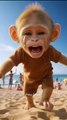 Baby Monkey Piku’s Emotional Beach Revenge Story 😭  Heartbreaking Journey of Courage & Love