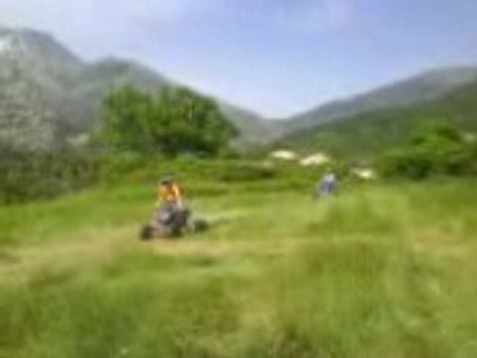 quad raptor