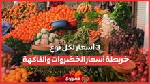 3 أسعار لكل نوع.. خريطة أسعار الخضروات والفاكهة اليوم 1 يناير 2026 في الشرقية