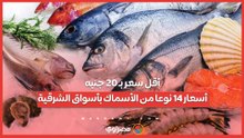 أقل سعر بـ 20 جنيه..أسعار 14 نوعا من الأسماك بأسواق الشرقية
