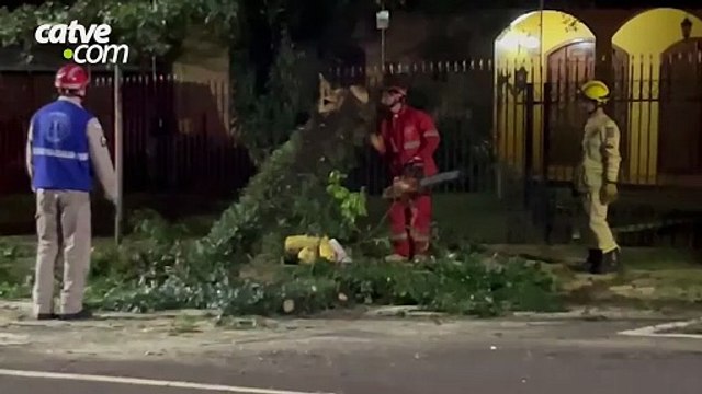 Queda de galho interdita trecho da Rua Rio de Janeiro, no Centro de Cascavel