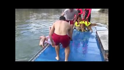 Eugenio Giani e il tuffo nell'Arno. La tradizione di Capodanno si rinnova